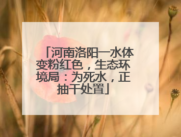 河南洛阳一水体变粉红色，生态环境局：为死水，正抽干处置