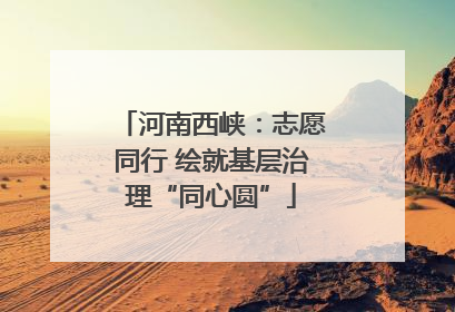 河南西峡：志愿同行 绘就基层治理“同心圆”
