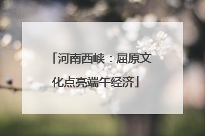河南西峡：屈原文化点亮端午经济