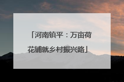 河南镇平：万亩荷花铺就乡村振兴路