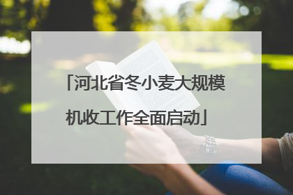 河北省冬小麦大规模机收工作全面启动
