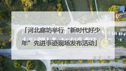 河北廊坊举行“新时代好少年”先进事迹现场发布活动