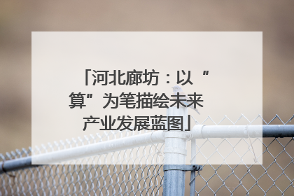 河北廊坊：以“算”为笔描绘未来产业发展蓝图