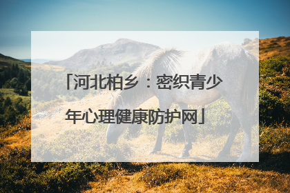 河北柏乡：密织青少年心理健康防护网