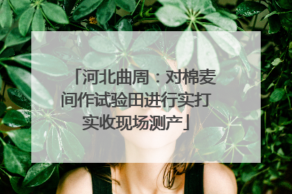 河北曲周：对棉麦间作试验田进行实打实收现场测产