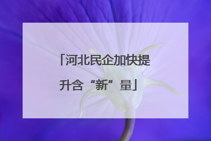 河北民企加快提升含“新”量