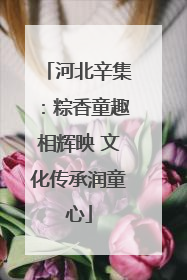 河北辛集：粽香童趣相辉映 文化传承润童心