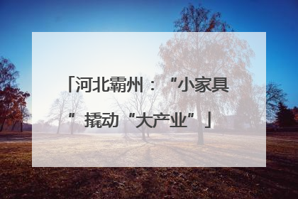 河北霸州：“小家具”撬动“大产业”