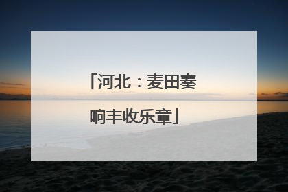 河北：麦田奏响丰收乐章