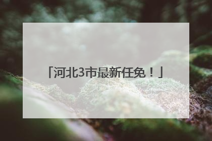 河北3市最新任免！