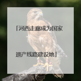 河西走廊成为国家遗产线路建设地