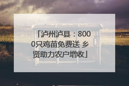 泸州泸县：8000只鸡苗免费送 乡贤助力农户增收