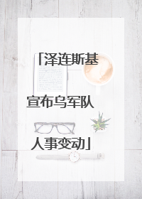泽连斯基宣布乌军队人事变动