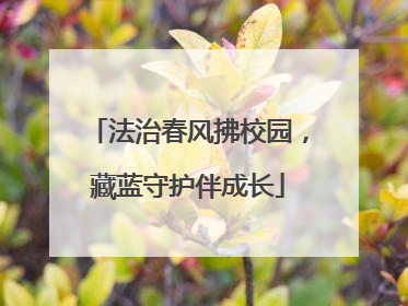 法治春风拂校园，藏蓝守护伴成长