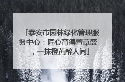 泰安市园林绿化管理服务中心：匠心育得萱草盛，一抹橙黄醉人间