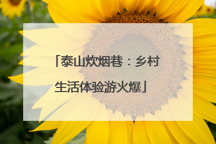 泰山炊烟巷：乡村生活体验游火爆