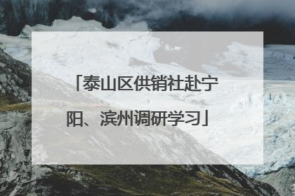 泰山区供销社赴宁阳、滨州调研学习