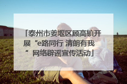 泰州市姜堰区顾高镇开展“e路同行 清朗有我”网络辟谣宣传活动