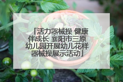 活力器械操 健康伴成长 襄阳市三原幼儿园开展幼儿花样器械操展示活动
