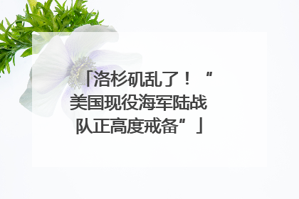 洛杉矶乱了！“美国现役海军陆战队正高度戒备”