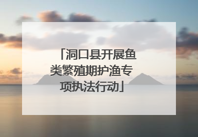 洞口县开展鱼类繁殖期护渔专项执法行动