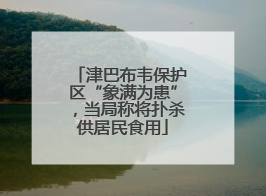 津巴布韦保护区“象满为患”，当局称将扑杀供居民食用