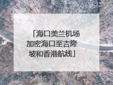 海口美兰机场加密海口至吉隆坡和香港航线