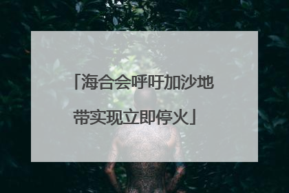海合会呼吁加沙地带实现立即停火