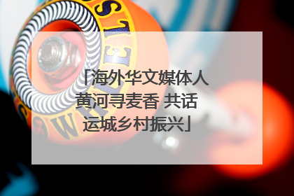 海外华文媒体人黄河寻麦香 共话运城乡村振兴