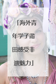 海外青年学子莆田感受非遗魅力