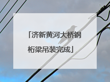 济新黄河大桥钢桁梁吊装完成