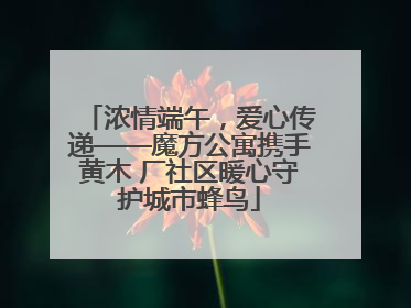 浓情端午，爱心传递——魔方公寓携手黄木 厂社区暖心守护城市蜂鸟