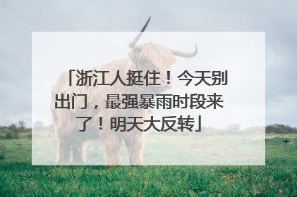 浙江人挺住！今天别出门，最强暴雨时段来了！明天大反转