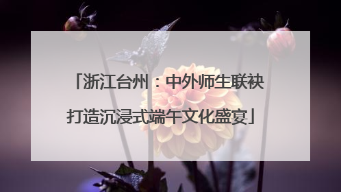 浙江台州：中外师生联袂打造沉浸式端午文化盛宴