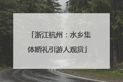 浙江杭州：水乡集体婚礼引游人观赏