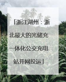 浙江湖州：浙北最大的光储充一体化公交充电站并网投运