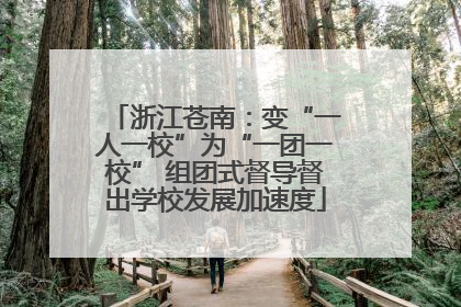 浙江苍南：变“一人一校”为“一团一校” 组团式督导督出学校发展加速度