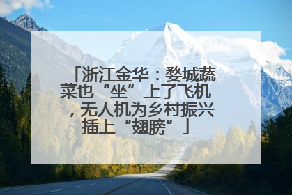 浙江金华：婺城蔬菜也“坐”上了飞机，无人机为乡村振兴插上“翅膀”