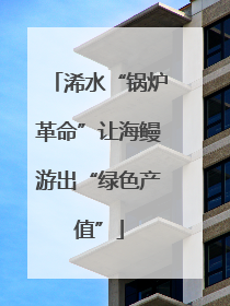 浠水“锅炉革命”让海鳗游出“绿色产值”
