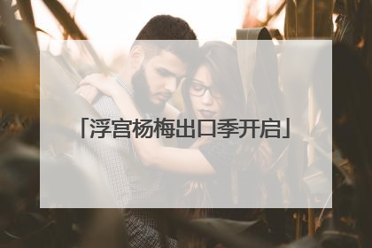 浮宫杨梅出口季开启