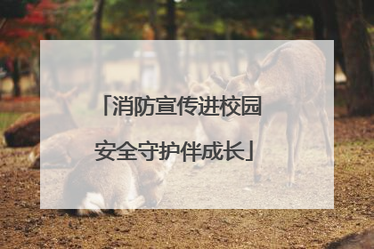 消防宣传进校园 安全守护伴成长