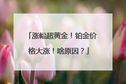 涨幅超黄金！铂金价格大涨！啥原因？
