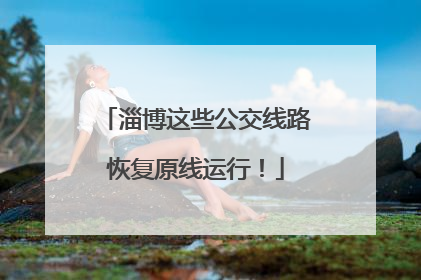 淄博这些公交线路恢复原线运行！