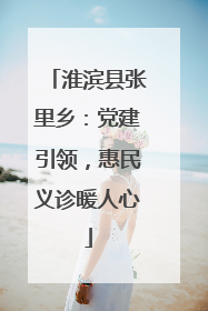 淮滨县张里乡：党建引领，惠民义诊暖人心