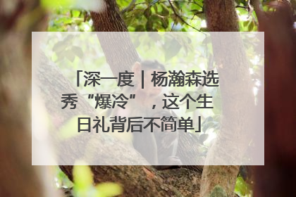 深一度｜杨瀚森选秀“爆冷”，这个生日礼背后不简单