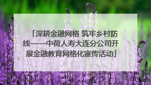 深耕金融网格 筑牢乡村防线——中荷人寿大连分公司开展金融教育网格化宣传活动