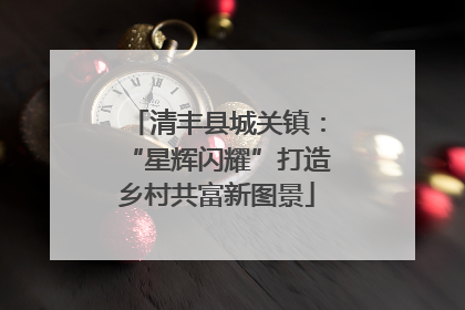 清丰县城关镇：“星辉闪耀”打造乡村共富新图景