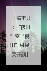 清丰县：“粮田”变“良田”村民笑开颜