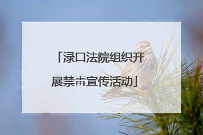 渌口法院组织开展禁毒宣传活动