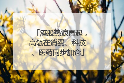 港股热浪再起，高瓴在消费、科技、医药同步加仓